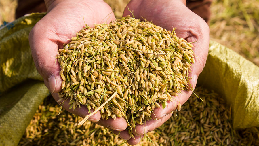 1516864067303964.jpg 未標(biāo)題-1.jpg